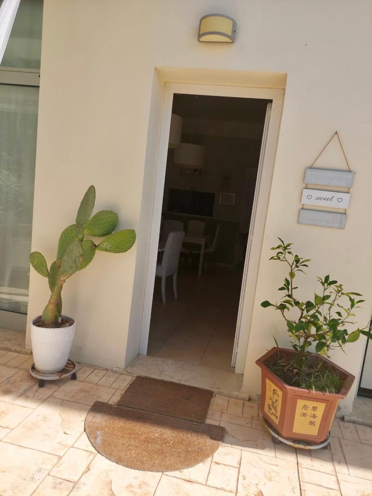 Rosadipepe Apartment ริปาตรานโซเน ภายนอก รูปภาพ